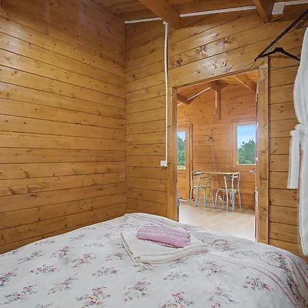 Quinta Vale Formoso Gospodarstwo agroturystyczne
